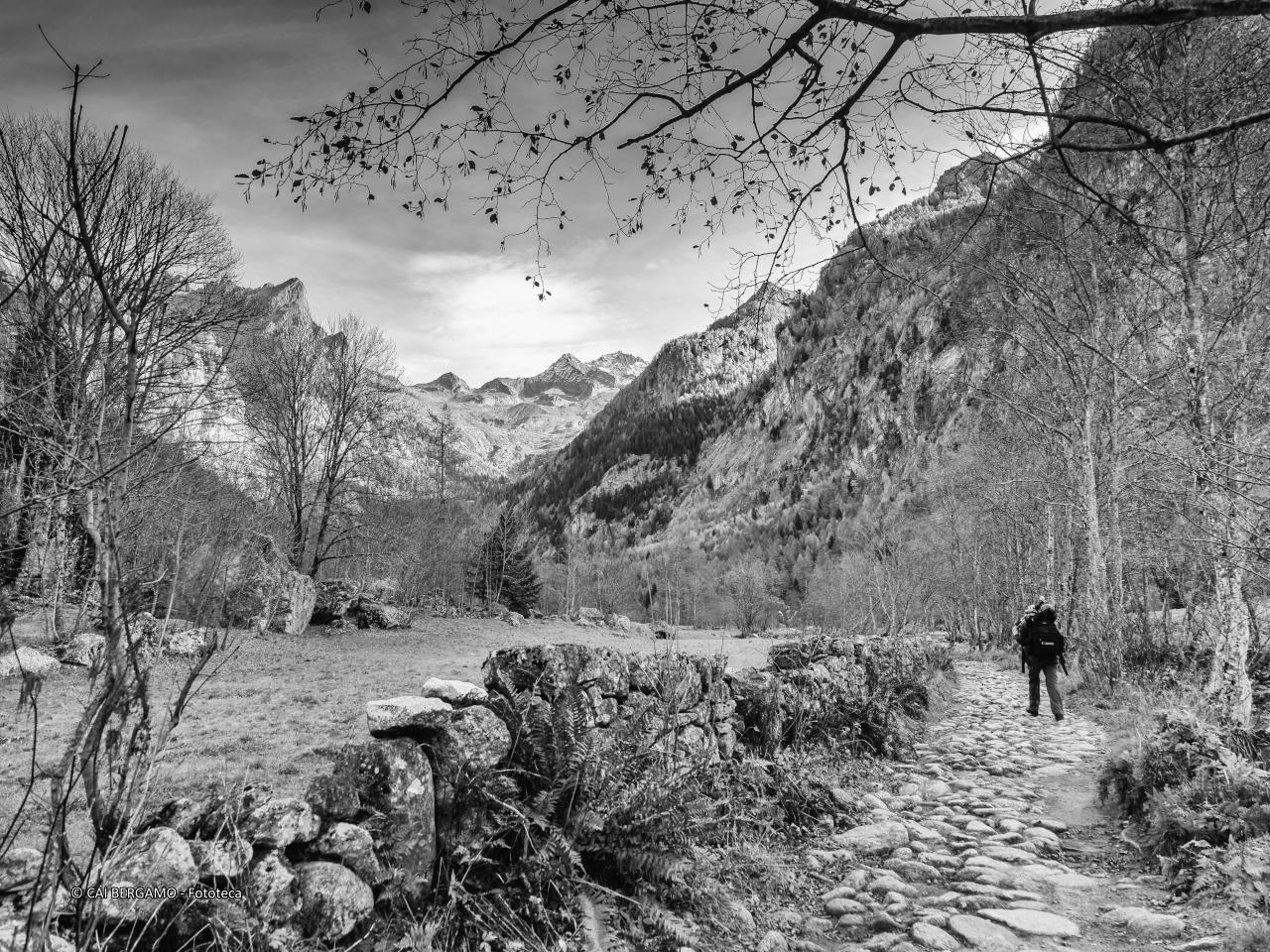 "Passeggiata solitaria" -   Segnalato in "Bianco e nero"