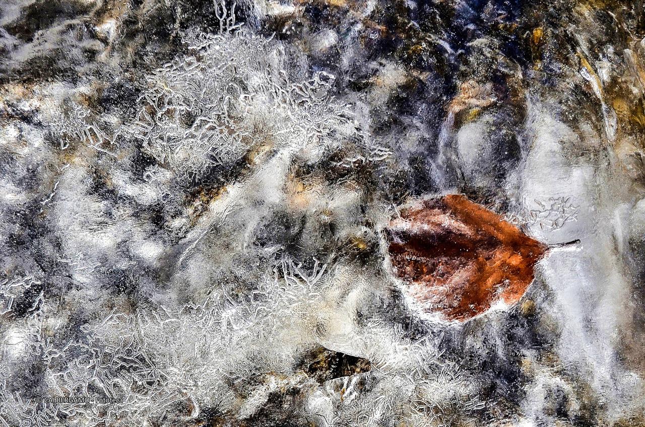 "Ibernazione" - 1° classificato in "L'acqua in tutte le sue forme"