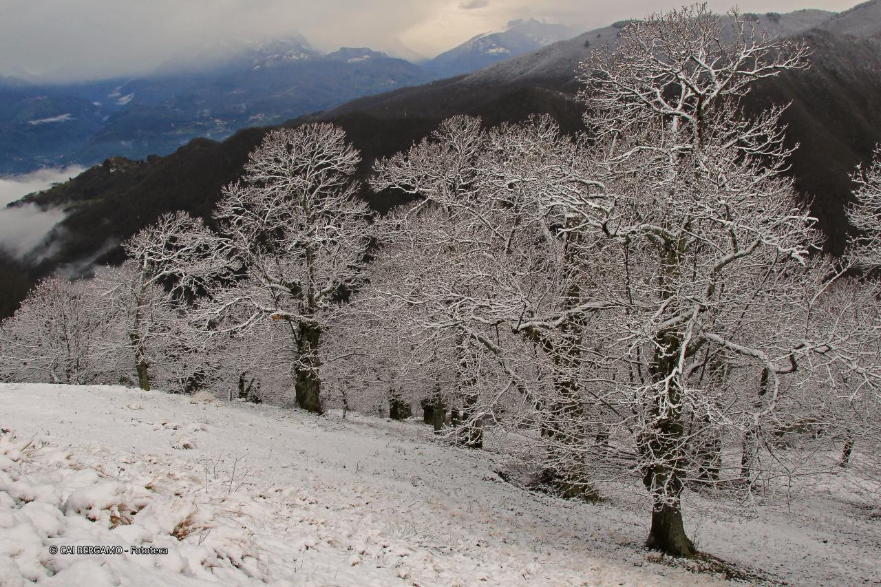 "Trine" - segnalato in "L'acqua in tutte le sue forme"