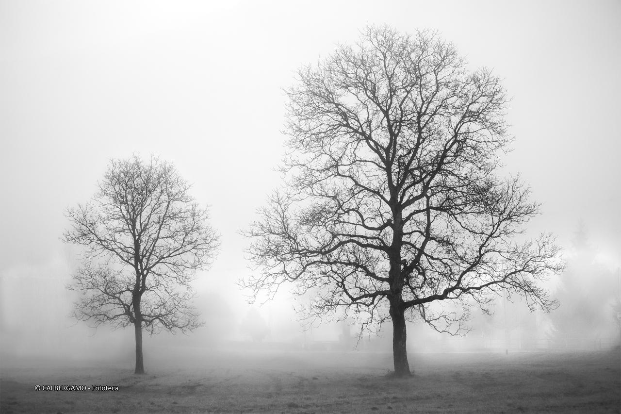"Noci nella nebbia" - 1° classificato in "Bianco e Nero"