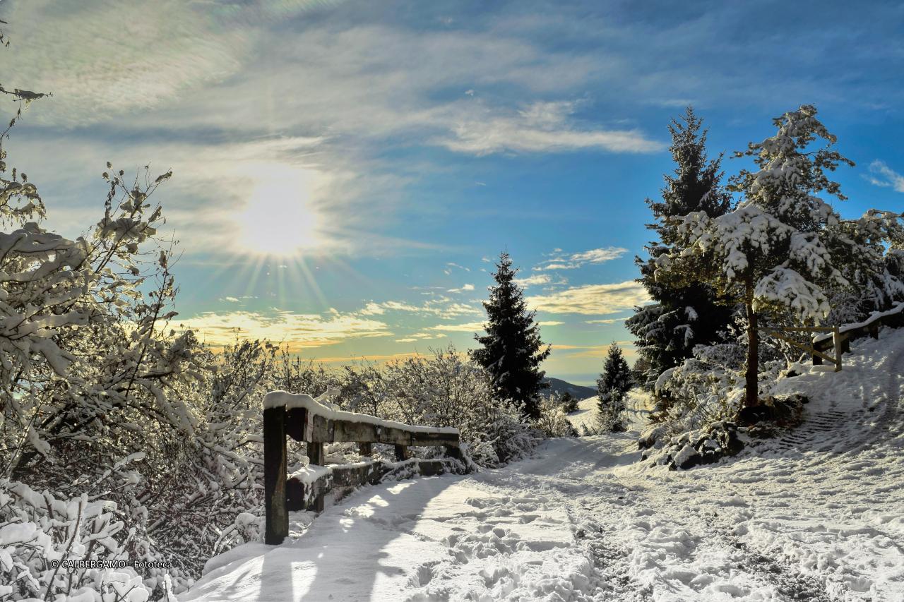 "Magic Winter" - segnalato in "Ambienti montani"