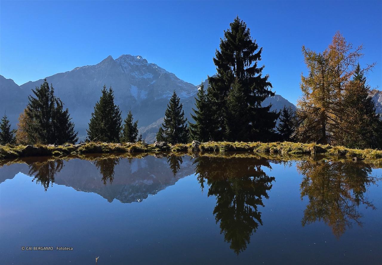 "Sua Maestà" - segnalato in "Ambienti Montani"