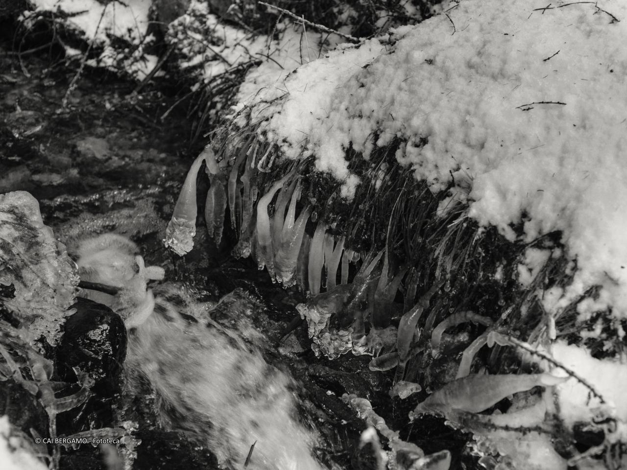 "Spaghetti freschi" - segnalato in  "L'acqua in tutte le sue forme" - Torrente con ghiaccioli a mo' di spaghetti