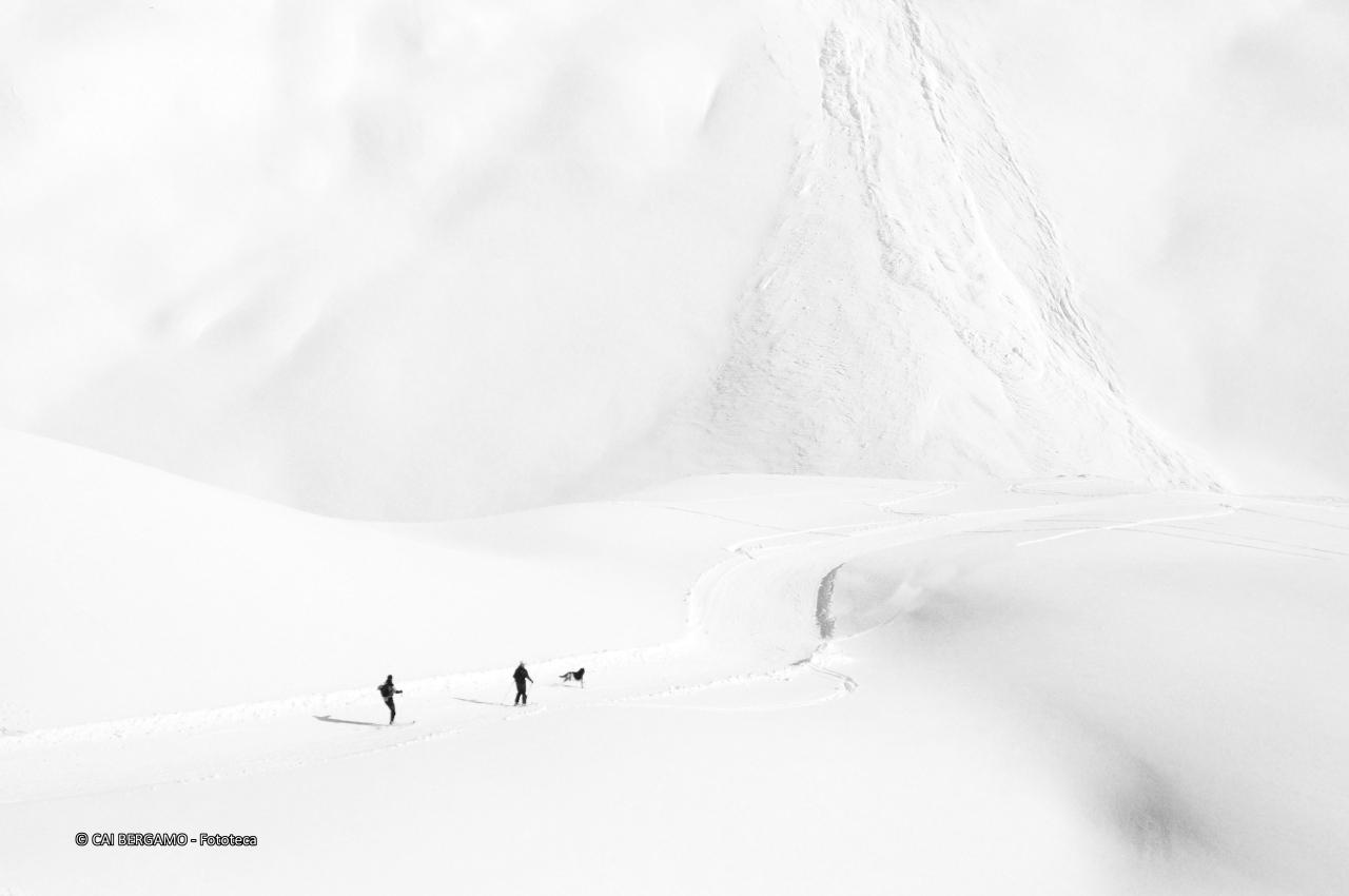 "Immersi nel bianco" - segnalato in "Bianco e Nero"