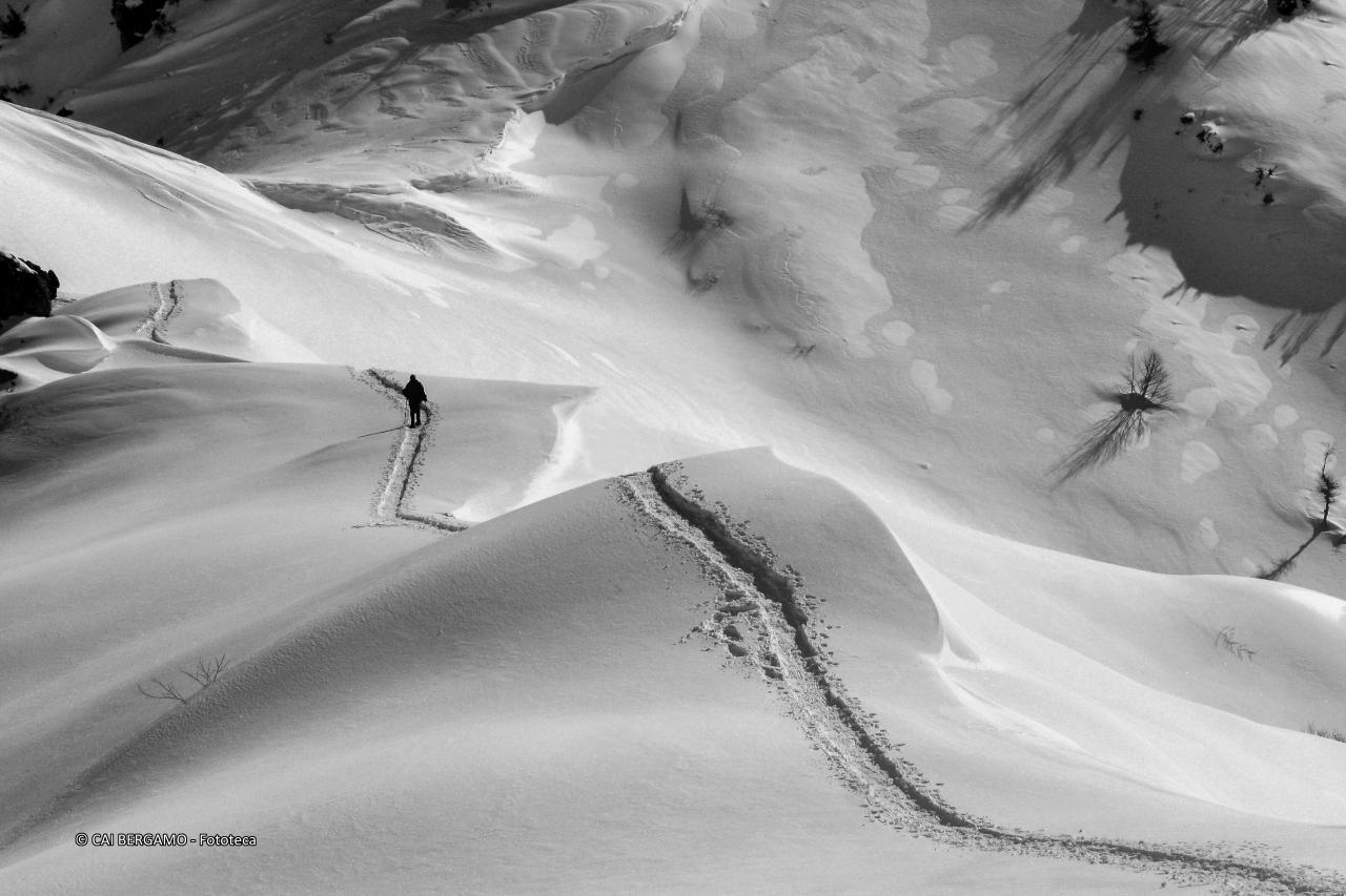 "La traccia" - segnalato in "Bianco e Nero" - Passo, passo lungo bella traccia nella neve
