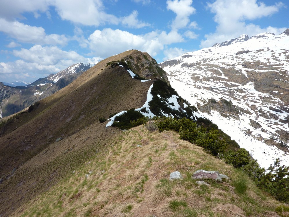 EXTRA (diff.: EF): salire il monte Campagano dalla forcella di Zulino (foto: sulla cresta)