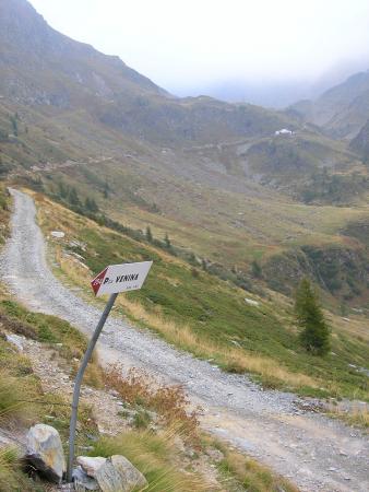 L'inizio del sentiero 254 per il Passo Venina, lungo la sterrata dell'ormai vicino Rifugio Longo