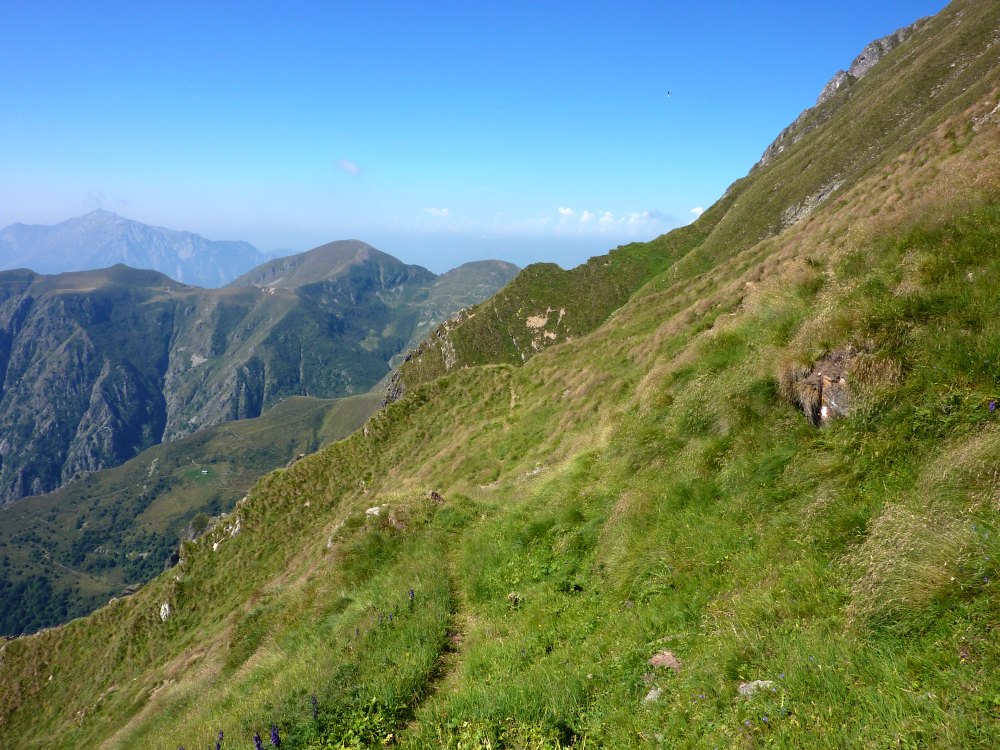 Il 101 tra la sella di Cima Fontane e la bocchetta Alta: pianeggiante su ripidi prati (20/08/2012)