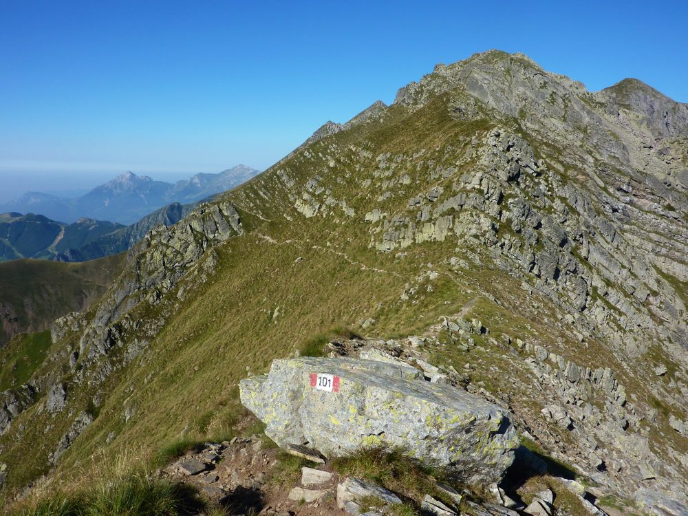 Dalla cima di Giarolo il 101 continua verso la val d'Inferno (20/08/2012)