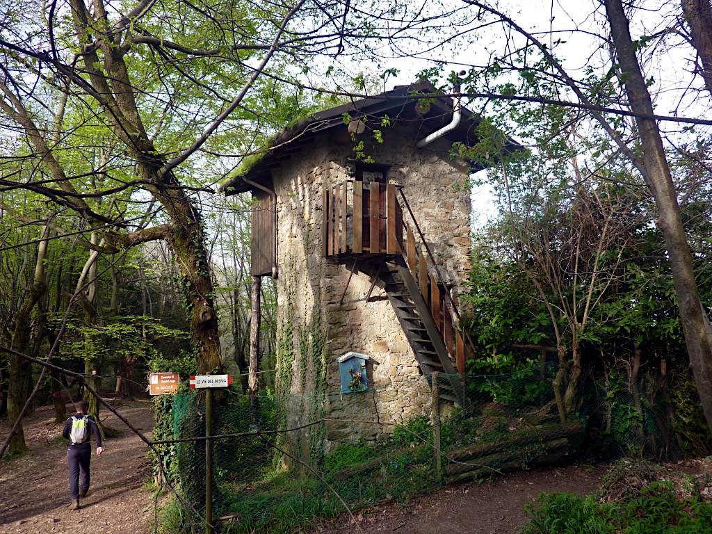 Passando presso Ol Ruculù: il vecchio roccolo posto alla sella del monte Bastia.