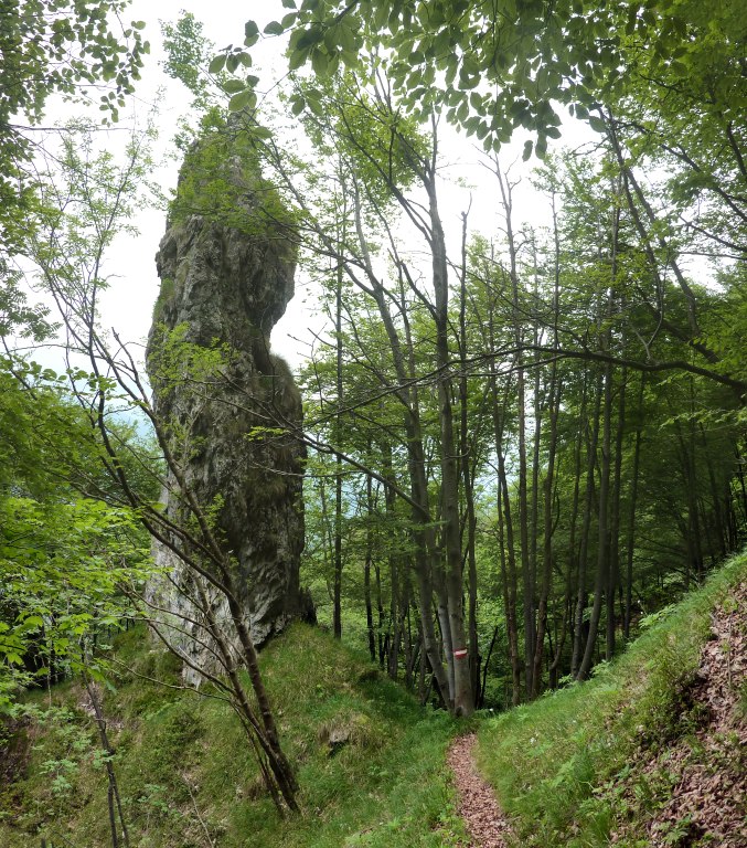 Pinnacolo di roccia sul 526A, traversando il versante settentrionale del M. Cavlera