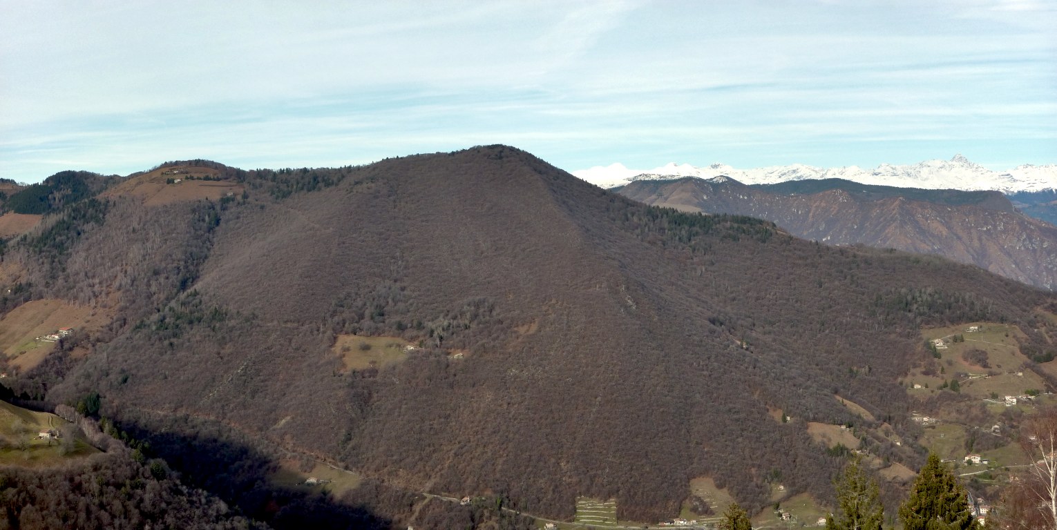 Presso il M. Creò, dal suo crinale a SO: il boscoso M. Boario oltre la bella valle di Fonteno.