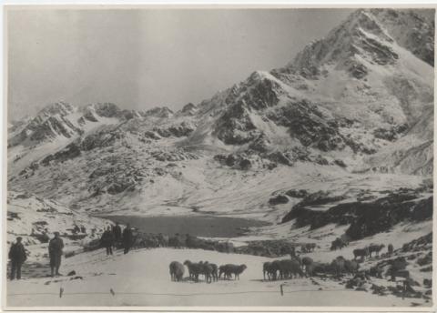 Passo del Gavia