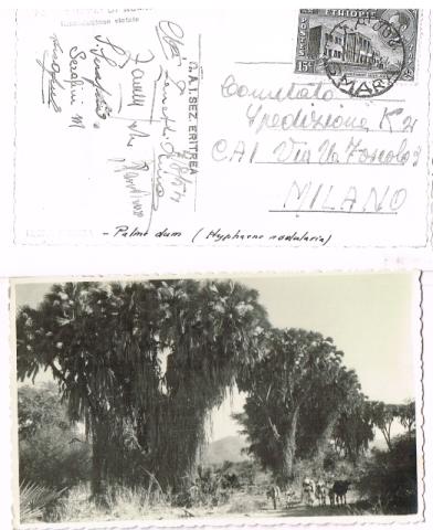 Spedizione italiana al K2 1954