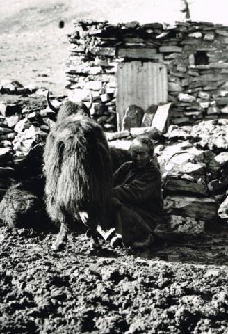 Mostra Himalaya 2000 di Giancelso Agazzi