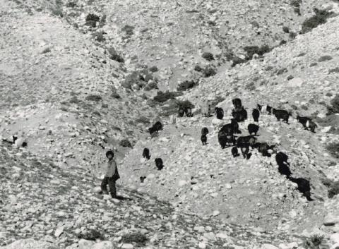 Mostra Himalaya 2000 di Giancelso Agazzi