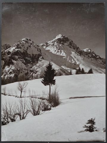 Album Fotografico Nr. 2 - anni 1920/29