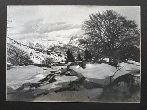 Album Fotografico Nr. 2 - anni 1920/29