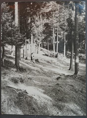 Album Fotografico Nr. 2 - anni 1920/29