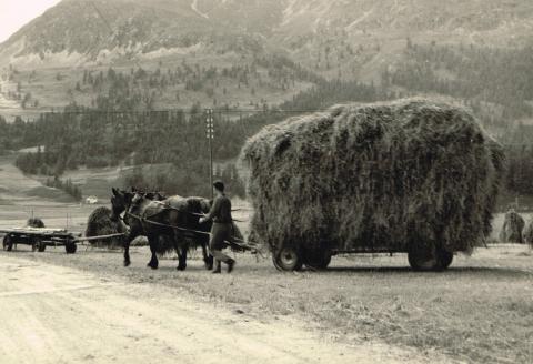 Silvaplana - Piz Corvatsch