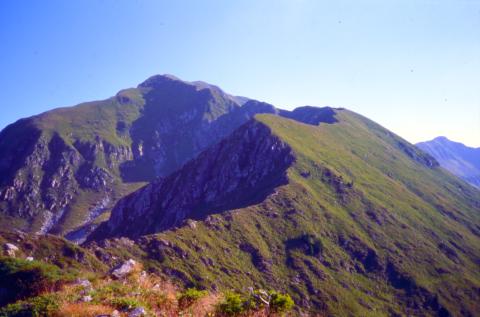 Monte Fioraro (Monte Azzarini)  8-08-2012