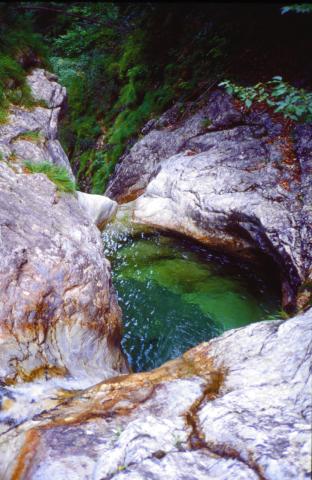 Valle Ancogno (Valtorta)  15-8-2012