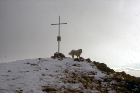 07-12-2011 - Quota 2230 con croce Papa Woitila e Cima Galline