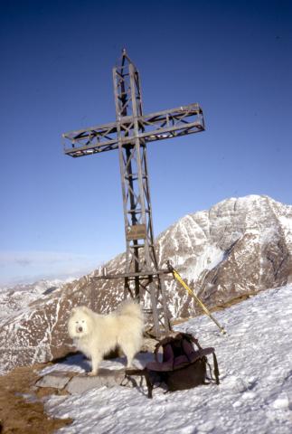 25-01-2012 - Cima Grem