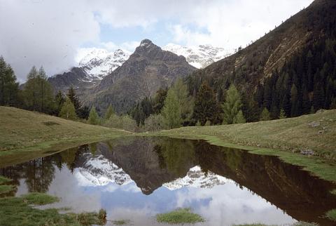 Foppa, Mincuccio ed Avaro