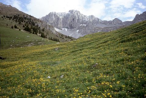 Valle dei Mulini		