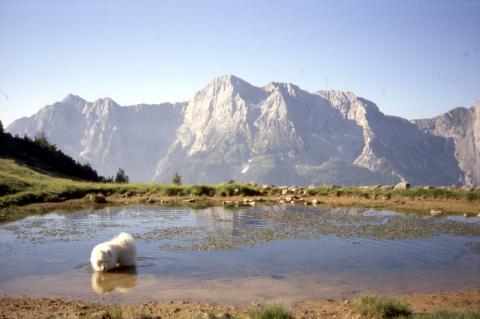Monte Campagano