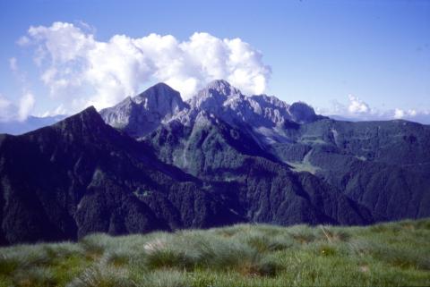 Monte Busma