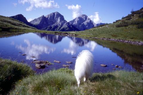 Monte Busma