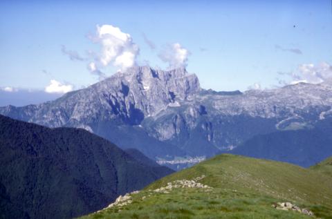 Monte Busma
