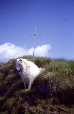Monte Toro