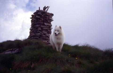 Monte Busma