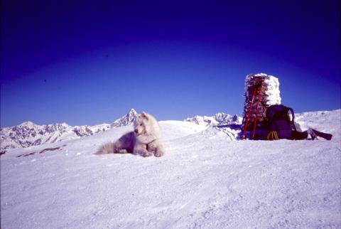 12/13-04-03 - Magheron, Straffelgrat, Spitzhorli, Straffelgrat Ovest