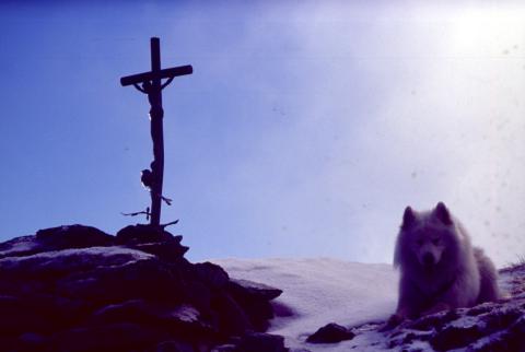 14/05/03 - Monte Valocci