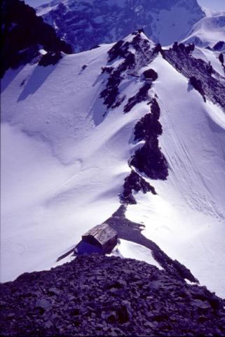 04/06/03 - Monte Tuckett