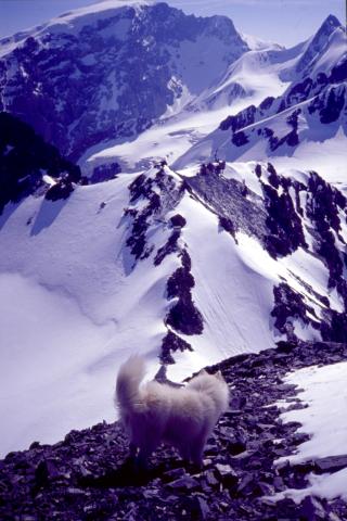 04/06/03 - Monte Tuckett