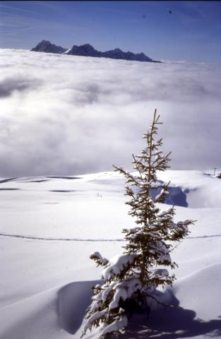 03-01-2004 - Capanna 2000