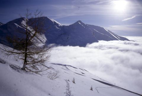 03-01-2004 - Capanna 2000