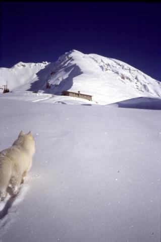 03-01-2004 - Capanna 2000
