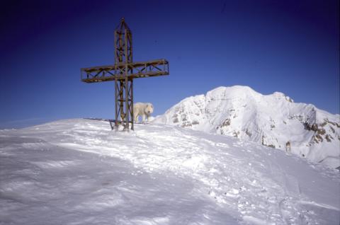 21-01-2004 - Cima Grem, Monte Golla