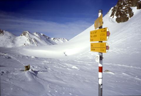 15-02-2024 - Piz Turba