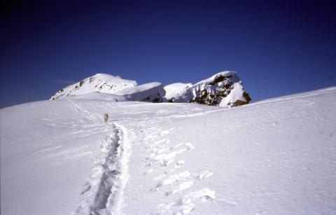 31-03-2004 - Piz Lagrev