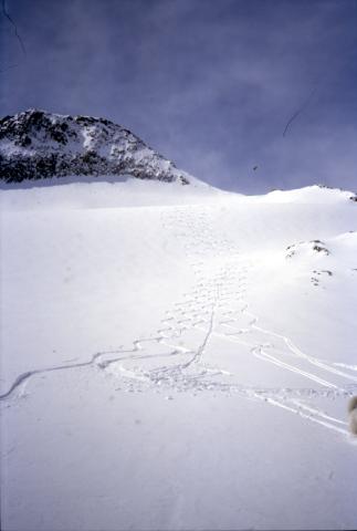 04-04-2004 - Leckihorn