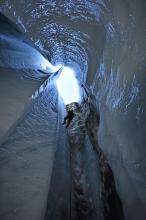 foto di Mauro Inglese