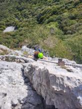 Ferrata corno rat
