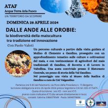 Dalle Ande alle Orobie